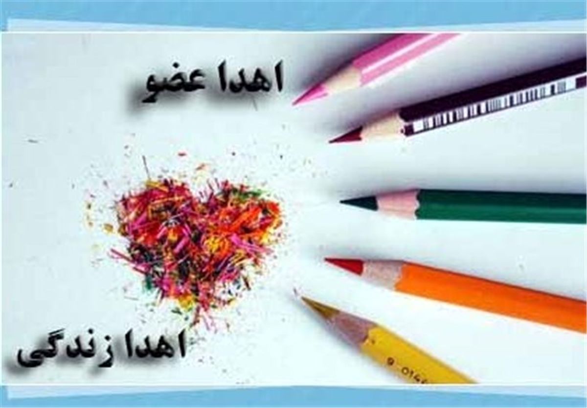 ۱۳ بیمار مرگ مغزی در کهگیلویه و بویراحمد اعضای بدن خود را اهدا کردند