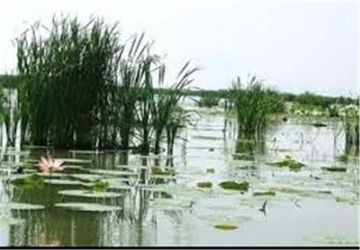 ۷۰ تالاب کشور با لایروبی خشک شد/میلیاردها تومان برای لایروبی تالاب انزلی هدر رفت