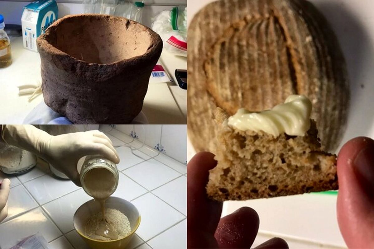 دانستنی‌هایی جالب درباره خمیر ترش