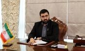 هر اظهار نظری شایسته طرح در فضای عمومی کشور نیست/ توهین به خط قرمزها می کنند و باید خلع لباس شوند