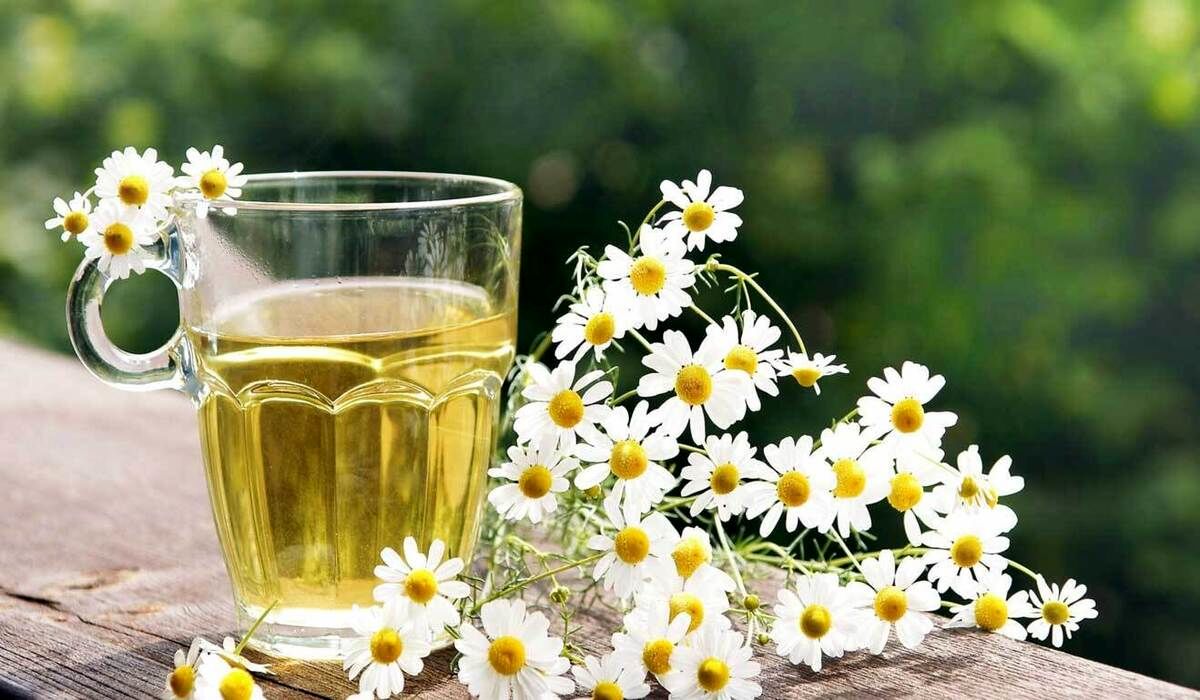 این گیاه استرس را از بین می‌برد