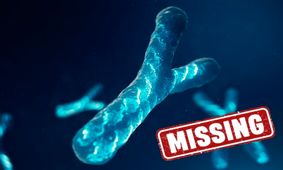 ناپدید شدن کروموزوم Y باعث بیماری قلبی می‌شود

