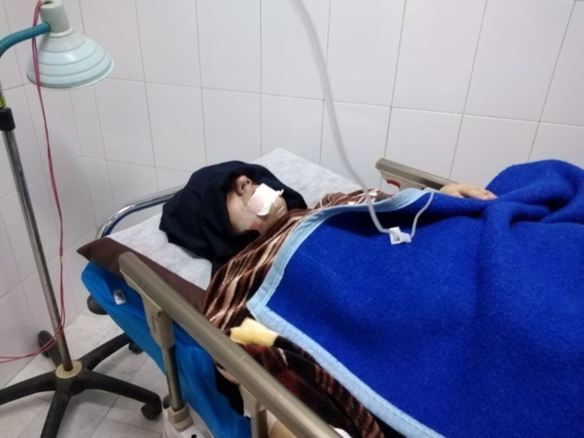 گرگ ۲ شهروند در هشجین خلخال را روانه بیمارستان کرد