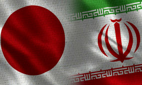 توهین عضو پارلمان ژاپن به پرچم ایران/ عکس

