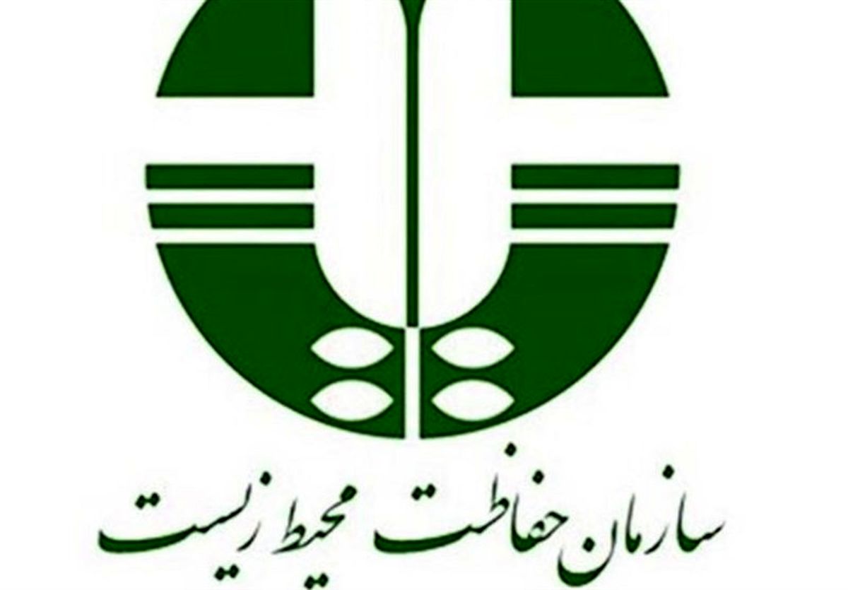 تقاضای «فوری» سازمان محیط زیست از هیات وزیران درباره آلودگی هوا