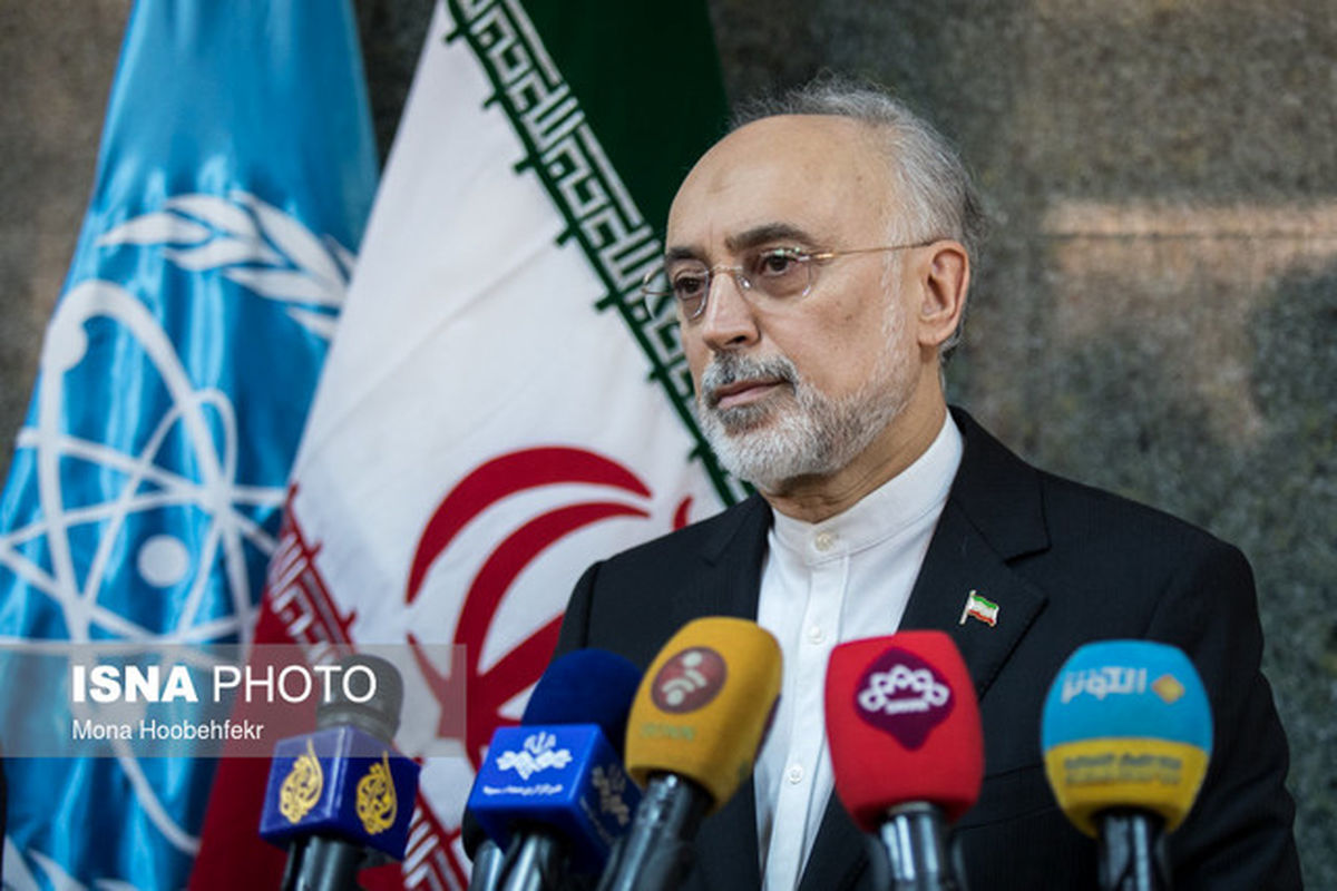 ساخت رآکتور اراک را ادامه ندهند خودمان پیش می‌بریم