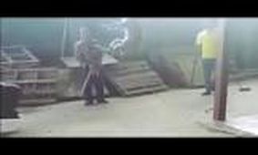 فیلم وحشتناک از سگ آزاری در زیبا کنار