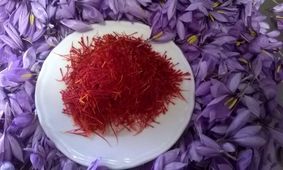 صادرات ۱۷۰ میلیون دلار زعفران از استان خراسان رضوی / در حوزه زعفران باید برند سازی صورت بگیرد
