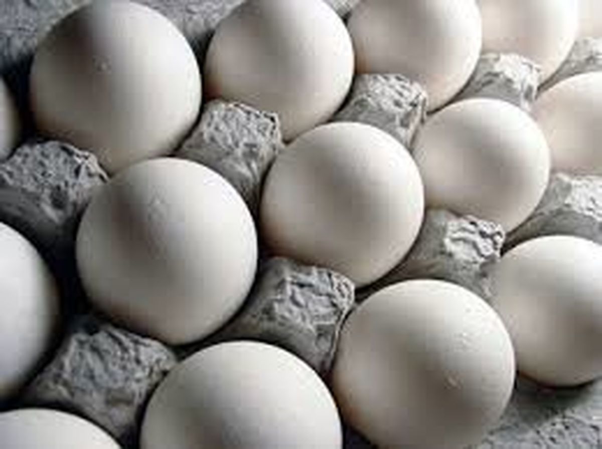 سیر صعودی تخم مرغ در بازار/ قیمت هر شانه تخم مرغ به 24 هزار تومان رسید
