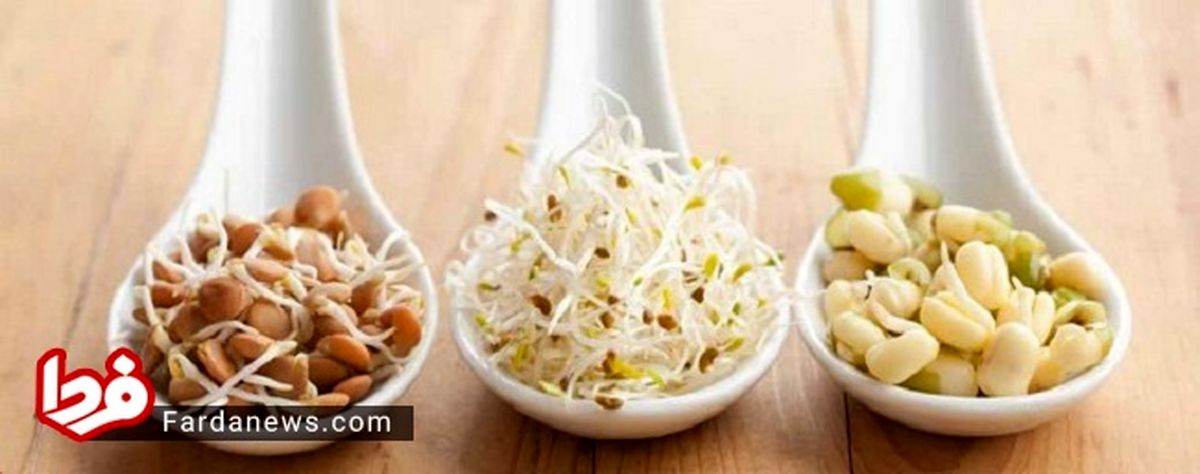 فواید غلات و حبوبات برای سلامتی