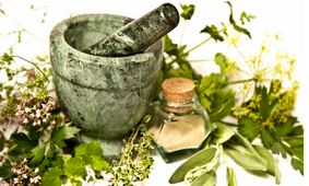 گیاه تشنه داری برای التیام زخم