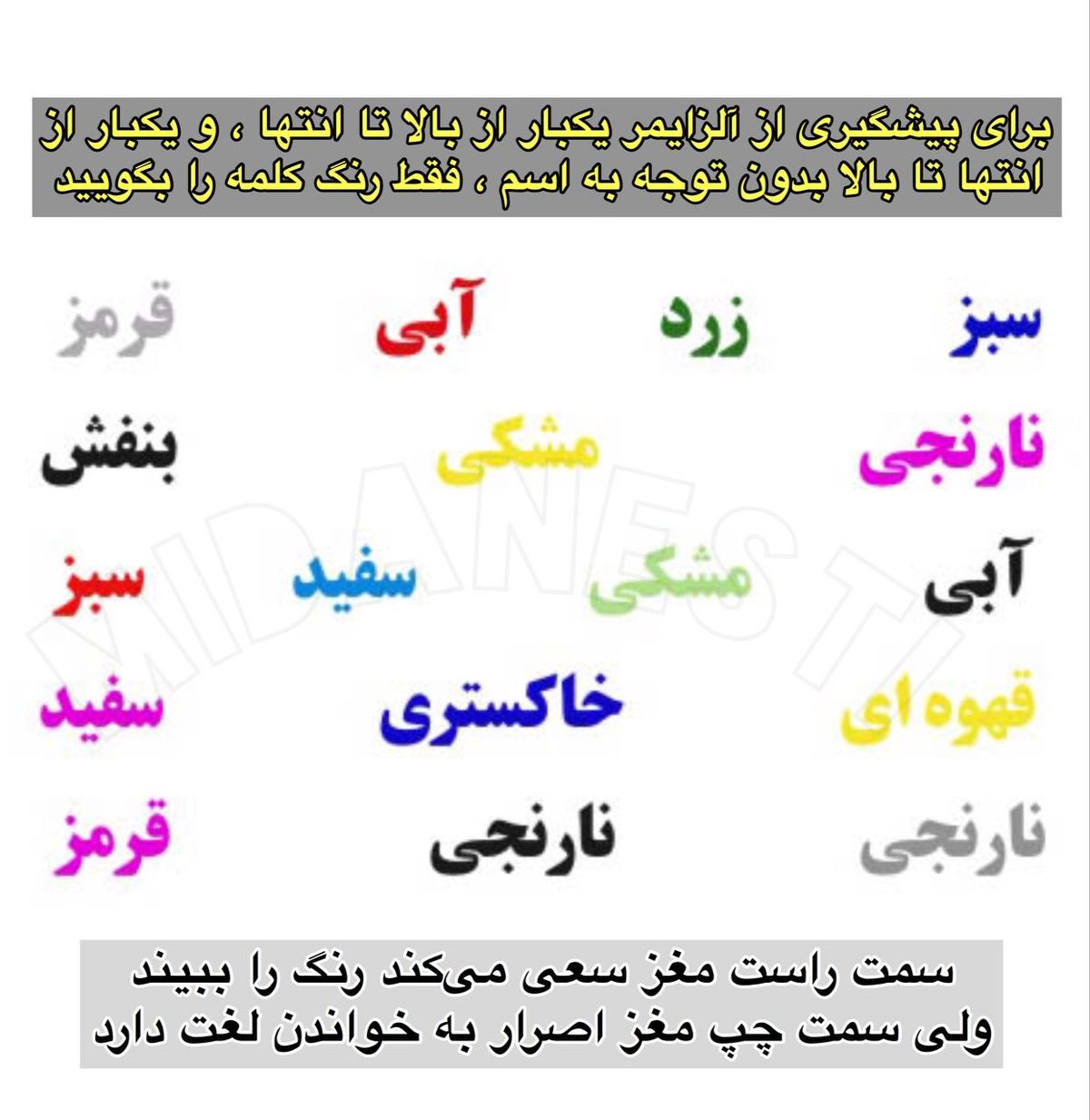 آلزایمر را فراموش کنید