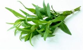 آشنایی با خواص روغن ترخون + طریقه مصرف روغن ترخون