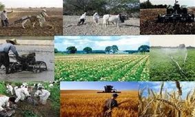 ۱۶۰ میلیارد تومان از تسهیلات اشتغال روستایی در همدان پرداخت شد