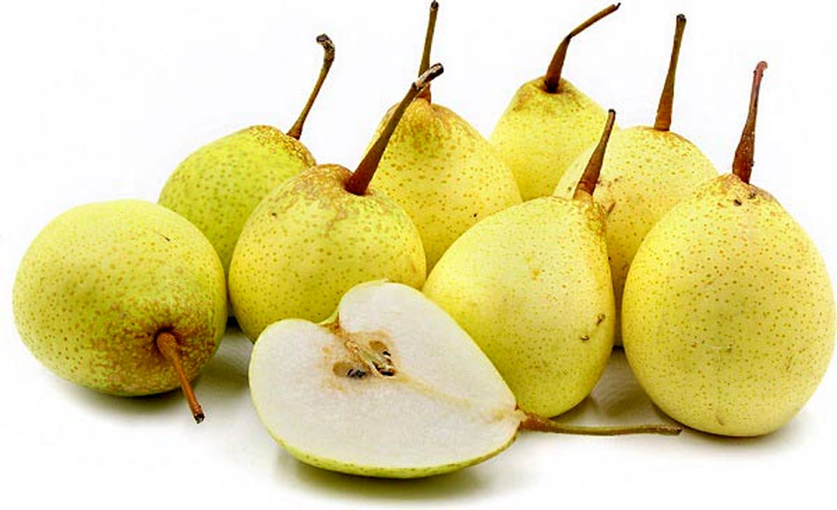 طبع گلابی سرد است یا گرم؟