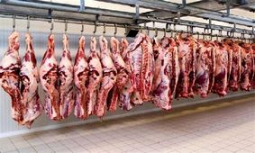 ۲۷۰ تن گوشت برای روزهای پایانی امسال در قم توزیع می‌شود