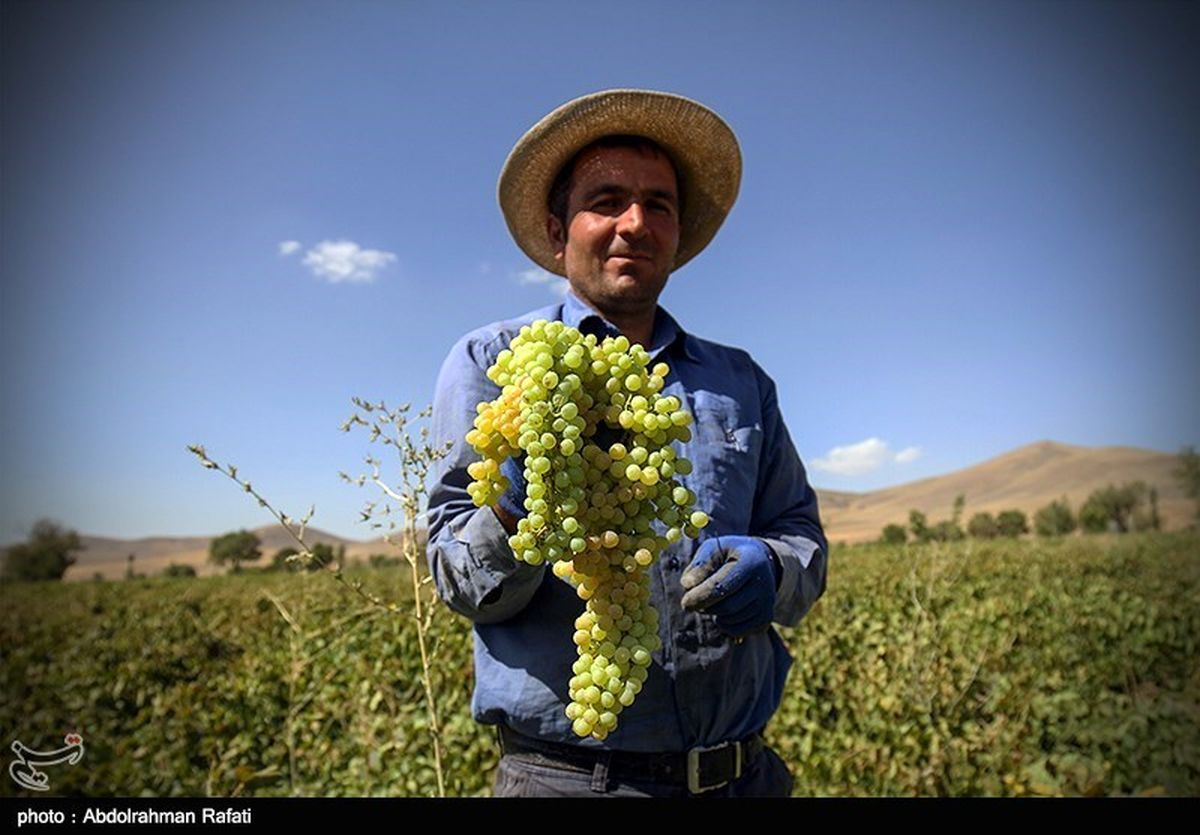شهر جهانی و ملی انگور و منبت در جذب گردشگر پیشتاز شود