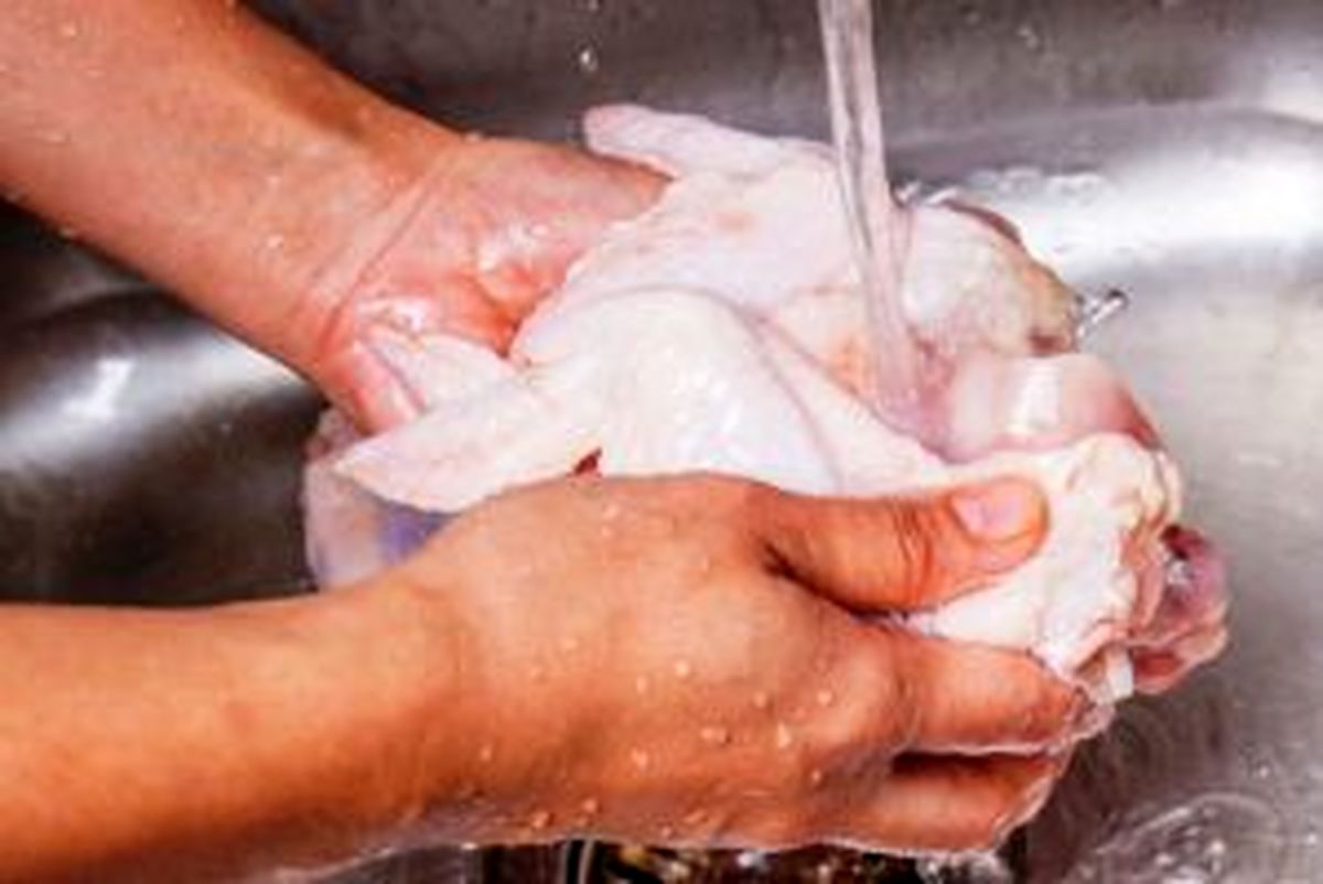 نکات ریزخانه داری برای شستن مرغ ها