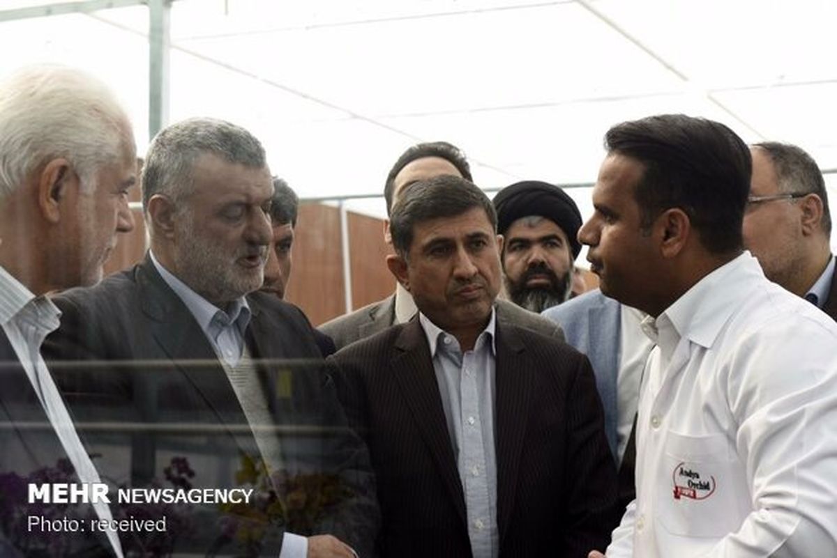 ۹۰ درصد بازار گل ارکیده صادراتی است