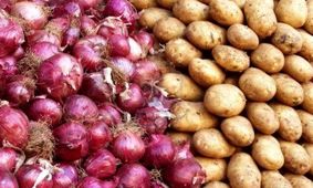 کاهش قیمت سیب‌زمینی و پیاز طی روزهای آینده