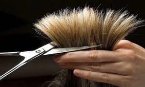چگونه از شر موخوره خلاص شویم؟