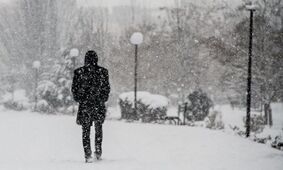 بارش برف بهاری در سنندج آغاز شد+ویدئو