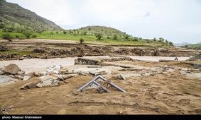 سیلاب به ۱۳۰۰ هکتار از مزارع هندیجان آسیب وارد کرد