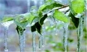سیل ۴۳ میلیارد تومان به کشاورزان استان آذربایجان غربی خسارت زد