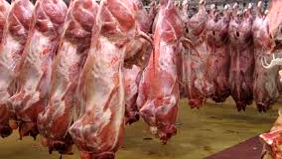 عرضه انبوه دام در بازار طی هفته‌های آتی

