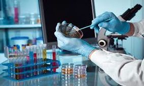 برخی از آزمایشگاه ها برای فرار از ورشکستگی برگه های تقلبی آزمایش صادر می‌کنند