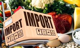 آشنایی با نکات مهم و مراحل واردات مواد غذایی