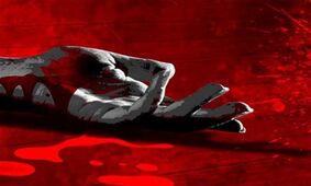 بازتاب گسترده قتل دو نفر در حمله مسلحانه در استانبول