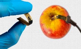 شناسایی ارزان و سریع آفت کش‌های موجود در مواد غذایی

