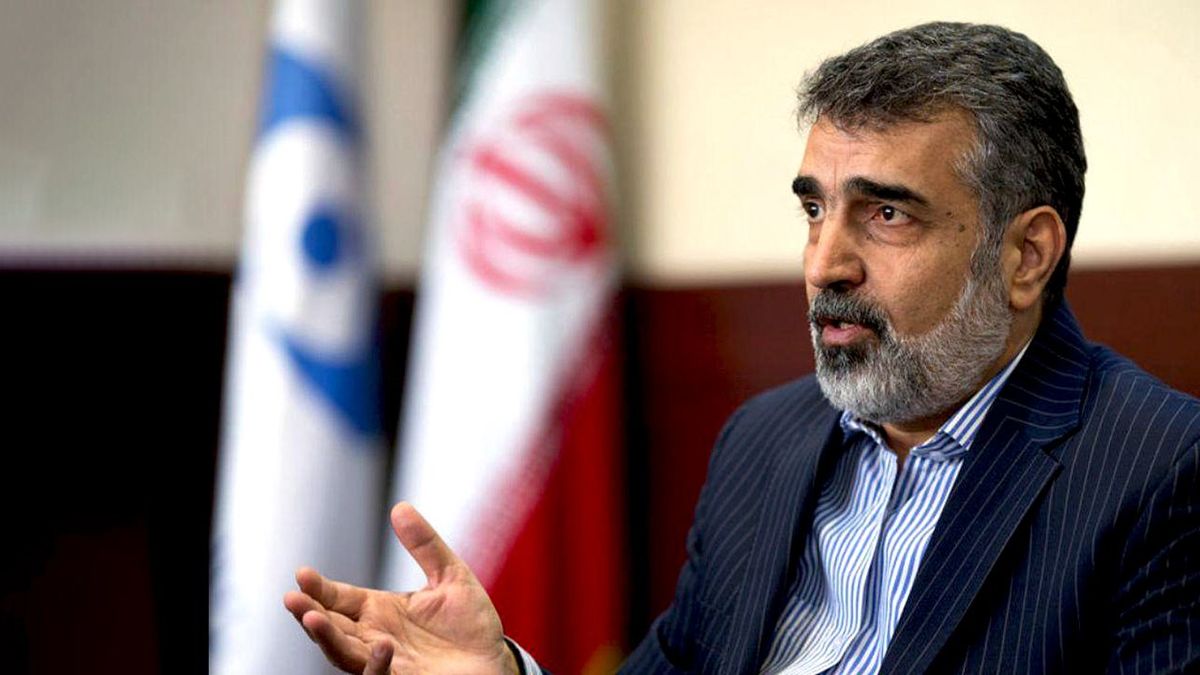  خواسته‌های آژانس از ایران، زیاده‌خواهانه است

