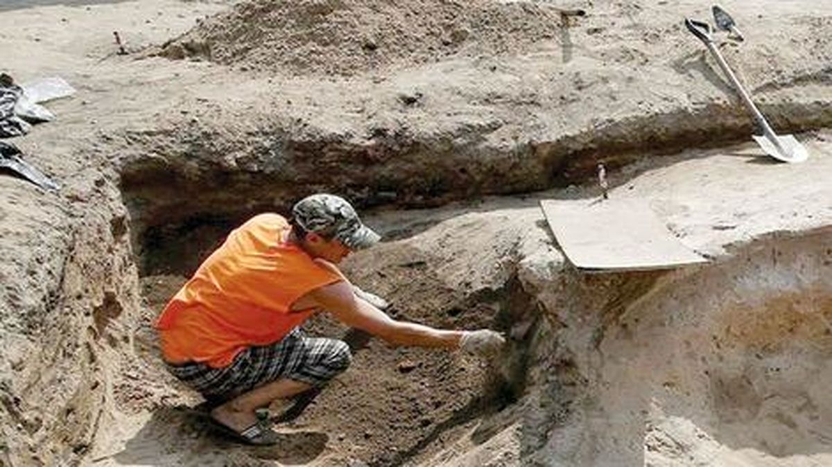 کشف جمجمه یک شتر ۲.۵ میلیون‌ ساله در تاجیکستان

