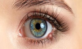 اگر مرتب چشمتان گل مژه می زند، بخوانید