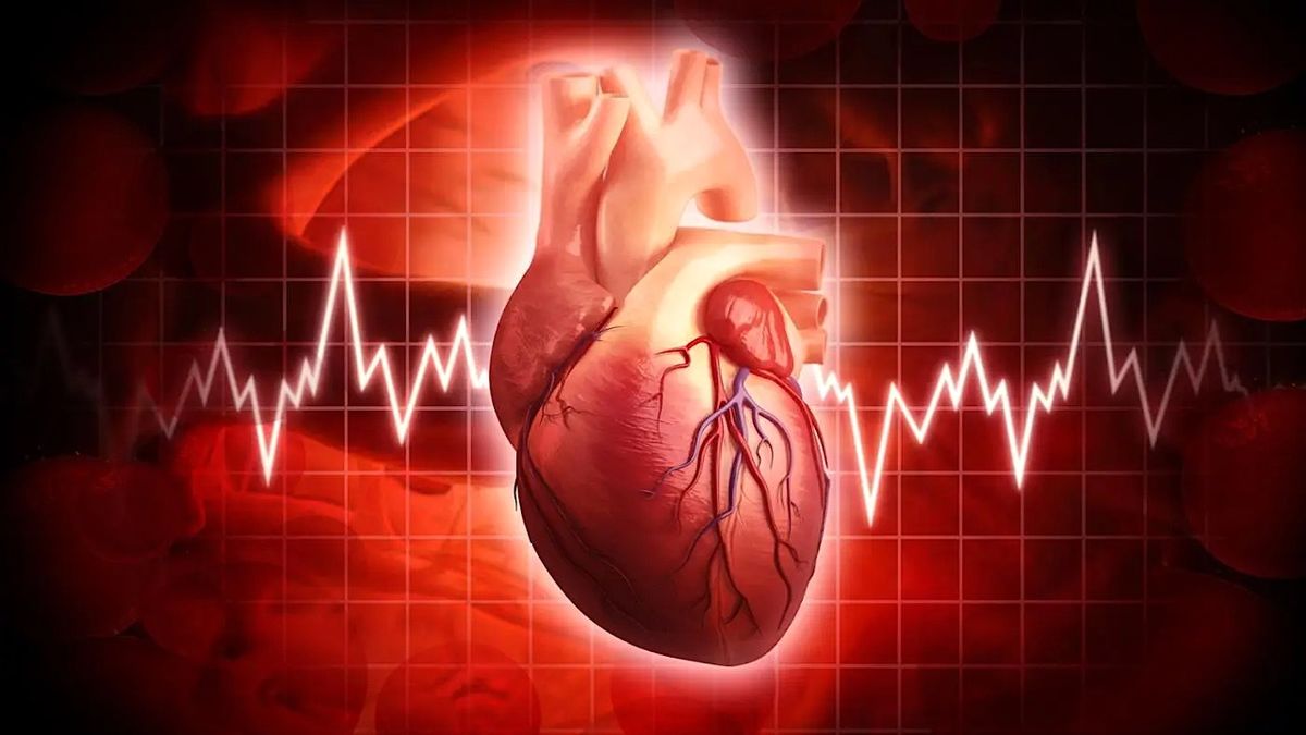 اثرات ضربان قلب بر درک افراد
