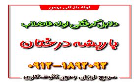 دلایل گرفتگی لوله فاضلاب با ریشه درختان