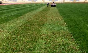 ورود دادستانی تهران به ماجرای آلوده بودن چمن ورزشگاه آزادی/ نمونه‌برداری انجام شد/ ویدئو

