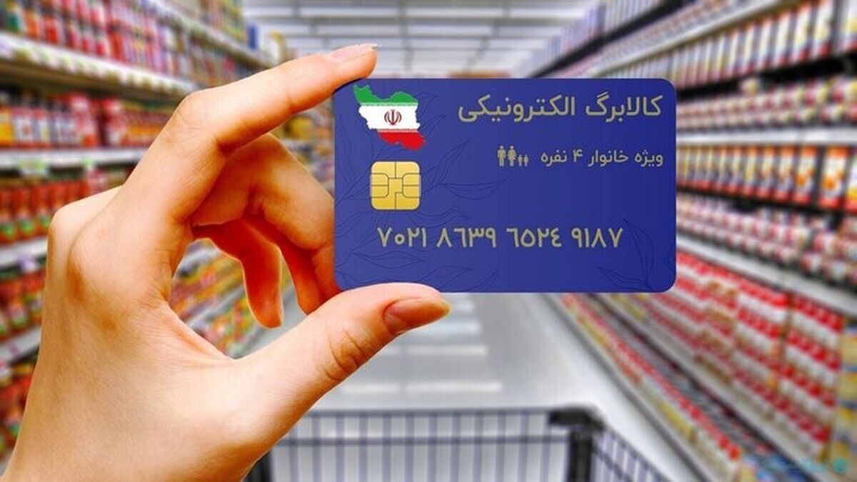  منابع کالابرگ تامین شد؛ احتمال برداشت از فردا/ ویدئو

