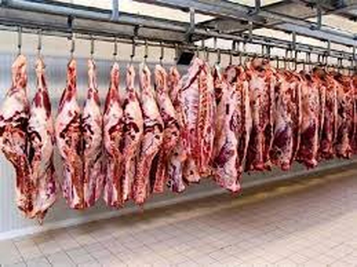 عرضه گوشت گوسفندی ۱۱۷ هزار تومانی در میادین
