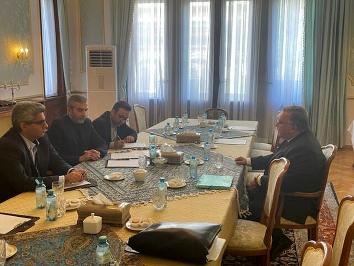 اولیانوف: دیدار پر ثمری با هیات مذاکره کننده ایرانی در وین داشتم