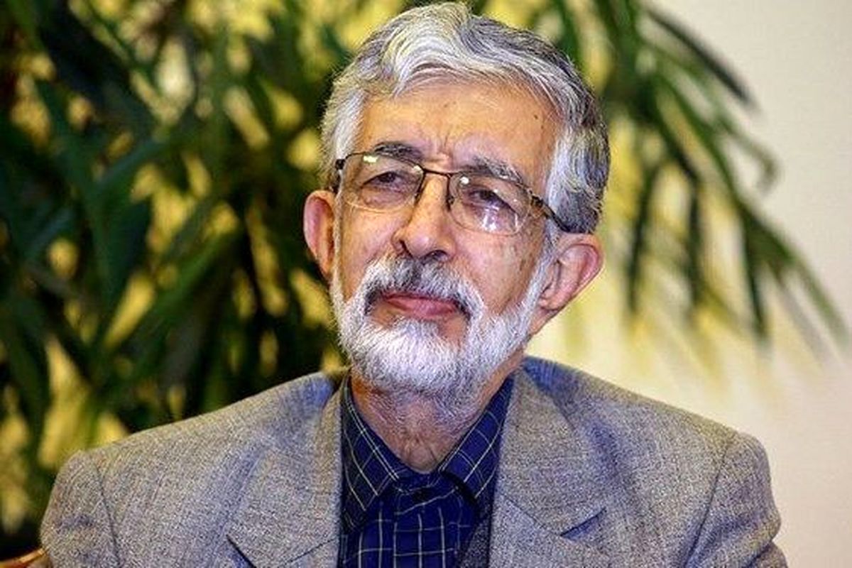 حدادعادل: همیشه در کنار چنار بلند، چند پاجوش زده می‌شود/ ویدئو

