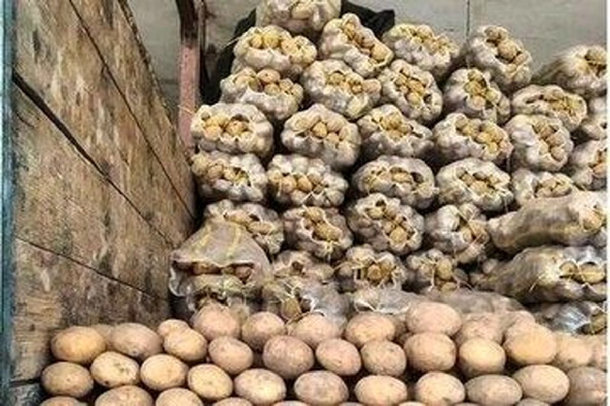 علت بحران سیب‌ زمینی از زبان وزیر دادگستری