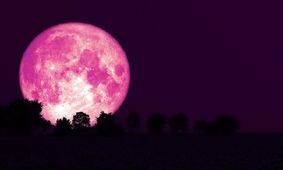 ماه صورتی خرداد ماه را از دست ندهید

