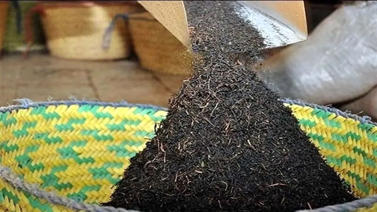 جزئیات تازه از پرونده فساد دبش؛ ماجرای «چای سنواتی سرطان‌زا» به ایران چست؟

