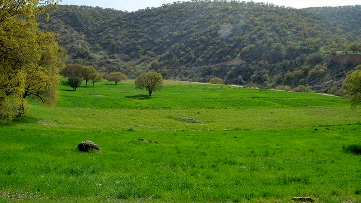 زمین خواری میلیاردی در چالوس