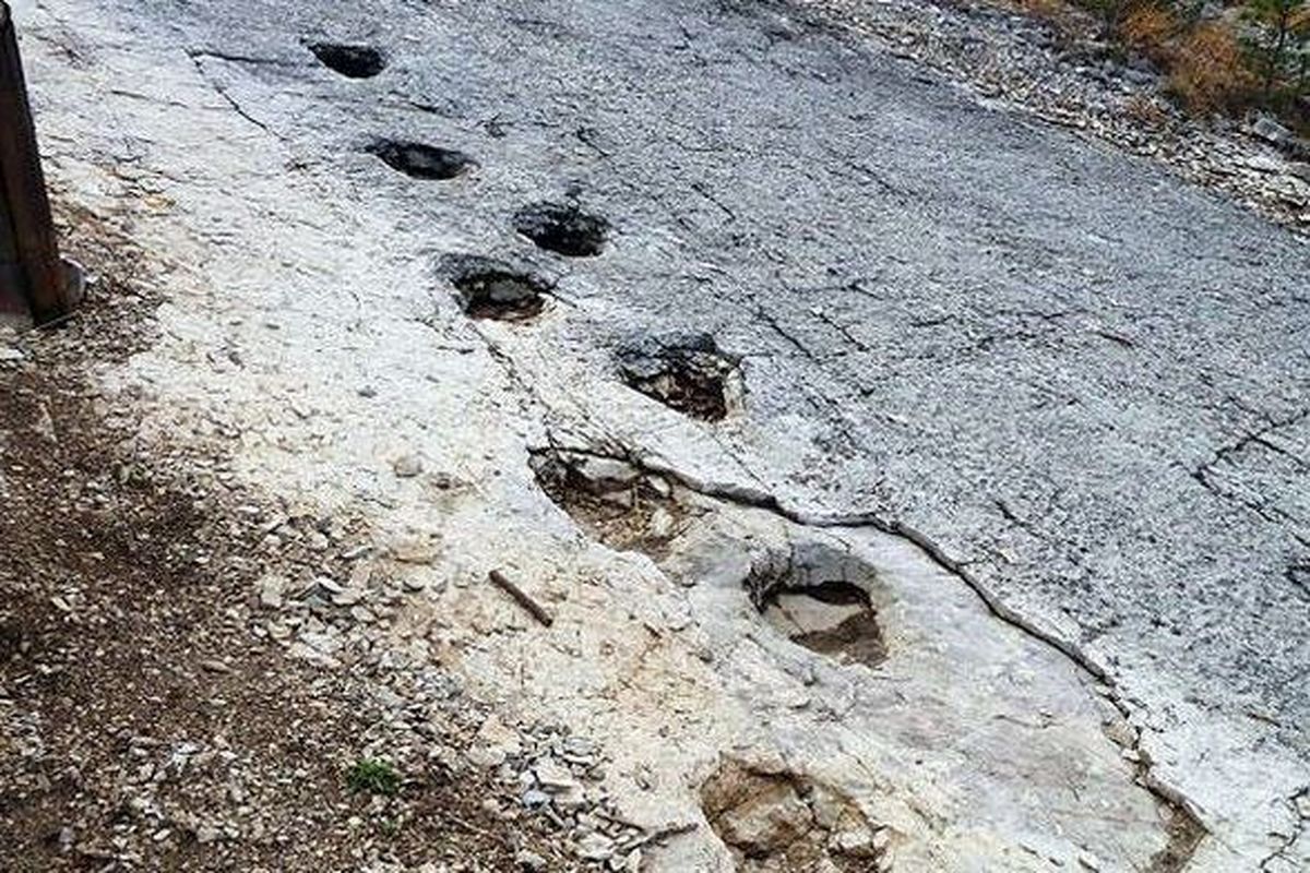 استراحت دایناسورها روی کوه