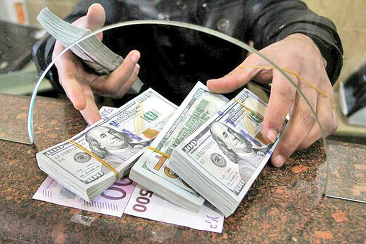 آیا دولت از نوسانات اخیر ارز درس گرفته است؟