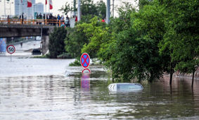 نجات جان پاکبان با تشکیل زنجیره انسانی/ ویدئو